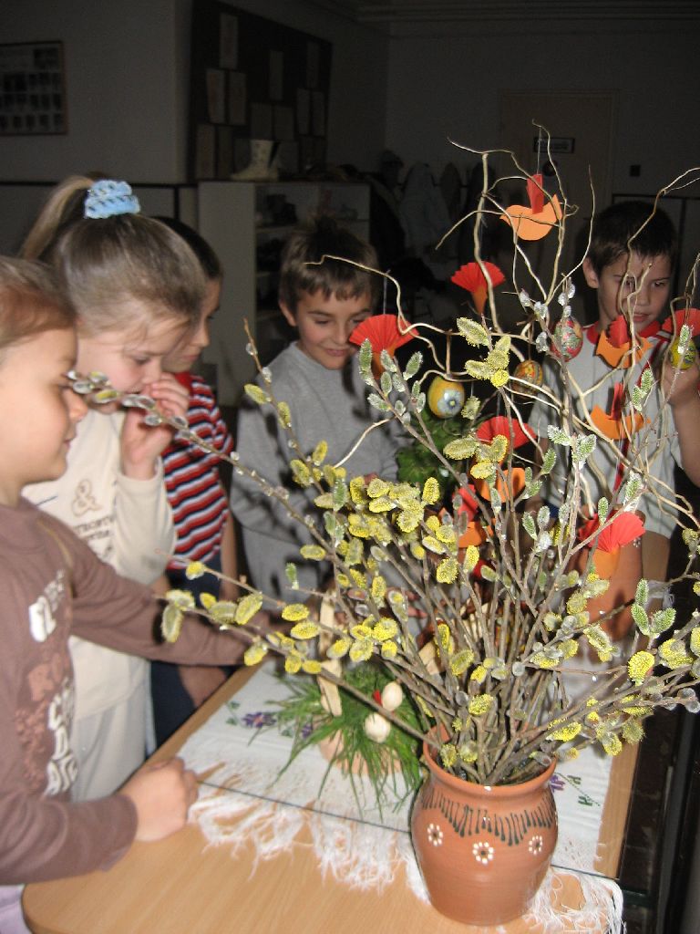 Kutyus 042
